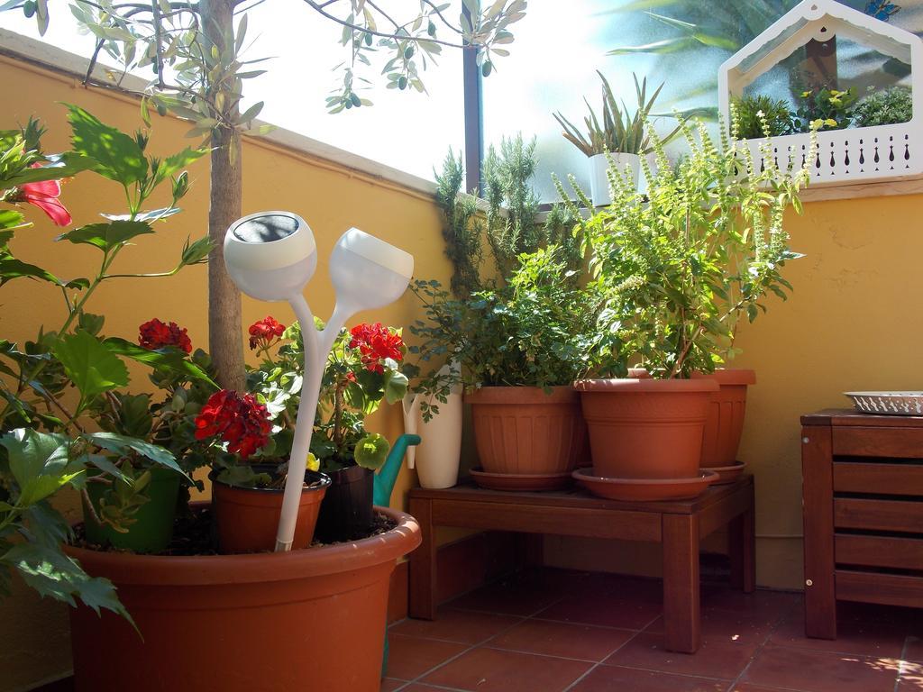 B&B Dei Cavalieri Pise Extérieur photo